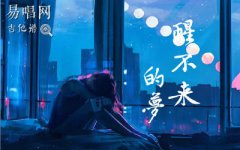 回小仙《醒不來的夢》吉他譜_G調(diào)六線譜_抖音熱