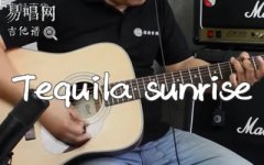 Tequila Sunrise吉他譜_老鷹樂隊(duì)_G調(diào)_彈唱