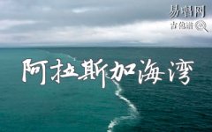 阿拉斯加海灣吉他譜_菲道爾藍(lán)心羽_C調(diào)彈唱譜