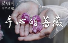 手心的薔薇吉他譜_林俊杰鄧紫棋_G調(diào)彈唱譜_高清