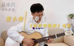 萱草花吉他譜_C調(diào)_你好李煥英插曲_吉他彈唱