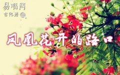 鳳凰花開(kāi)的路口吉他譜_林志炫_(tái)G調(diào)簡(jiǎn)單版_彈唱六