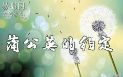 蒲公英的約定指彈譜_簡(jiǎn)單版_周杰倫_吉他獨(dú)奏譜