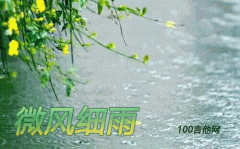 微風細雨吉他譜_C調(diào)_鄧麗君_吉他伴奏彈唱譜