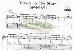 Turkey In The Straw－稻草中的火雞